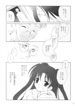 (C63) [Glassed Concrete (Narita Riuku)] Gusha no Kogane (Shining Sword Romance) page 2