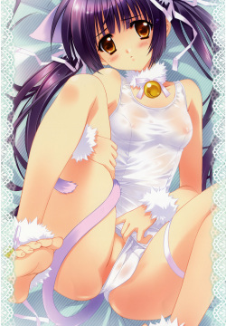 Carnelian 2010 Dakimakura Calendar