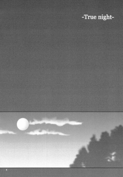(Mimiket 10) [HAPPY WATER (Kizaki Yuuri)] -True night- (Fate/stay night) page 3