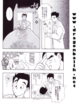 [Shouji Haruzo] Dragon Ball Z - Wakayo page 7