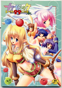 [Kaishaku] Kaishaku Level 99 ni Naru Hon (Ragnarok Online) page 2