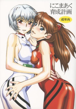 (C65) [Nikomark (Minazuki Juuzou)] Nikomark Ikusei Keikaku (Neon Genesis Evangelion) page 1