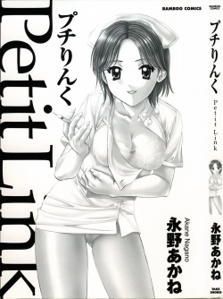 [Nagano Akane] Petit Link page 2