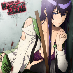 Saeko Busujima Gallery Highschool of the Dead