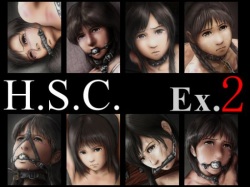 H.S.C. Illust Collection Ex.2