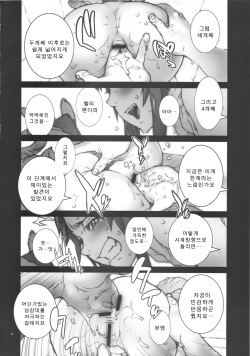 (C80) [P-collection (nori-haru)] Kachousen Go | 화접선 5 (King of Fighters) [Korean] [에보커] page 5