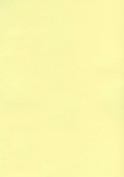 (C71) [adel-heid (Hatch, Zukiki)] Hatch &amp; Zukki no Sekai Meisaku Gekijou 5 (The Swiss Family Robinson: Flone of the Mysterious Island, Princess Sarah) page 2