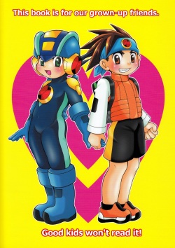 (C66) [Haraguro Tenshi (Narukami)] PC - PINK CHIP (Rockman.EXE) [English] [Aevin] page 2