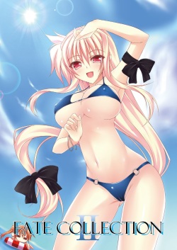 (C80) [chronicle (YUKITO)] FATE COLLECTION II (Mahou Shoujo Lyrical Nanoha) page 3