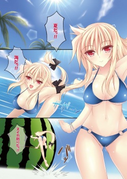 (C80) [chronicle (YUKITO)] FATE COLLECTION II (Mahou Shoujo Lyrical Nanoha) page 4