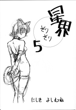 (C58) [Ikibata 49ers (Nishiki Yoshimune)] Solitude Solitaire 5 (Seikai no Senki) page 4