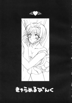 (C60) [PINK (Araiguma)] Caramel Pink (ToHeart) page 3