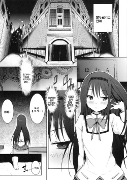 (Mou Nani mo Kowaku Nai) [Galley (ryoma)] True End (Puella Magi Madoka Magica) [Korean] page 2