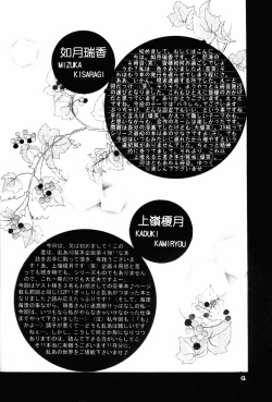 (Rumiket 6) [office fairy (Kisaragi Mizuka, Kamiryou Kaduki)] Dekiai (Ranma 1/2) page 3