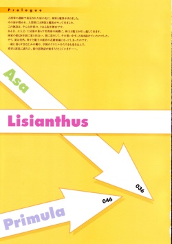 Shuffle! - Visual Fan Book page 4
