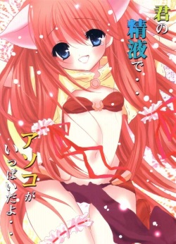 (C64) [Mikekodou (Mikeko)] Kimi no Seieki de.. Asoko ga Ippai da yo.. (Ragnarok Online) page 1