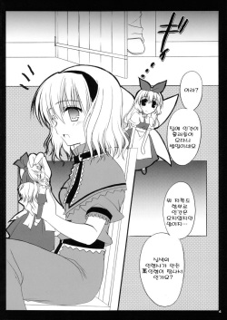 (C69) [Iiwake-Gaisya (Shigemiya Kyouhei)] Nanairo no Itazura | 일곱빛깔의장난 (Touhou Project) [Korean] [팀 면갤] page 3