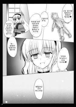 (C69) [Iiwake-Gaisya (Shigemiya Kyouhei)] Nanairo no Itazura | 일곱빛깔의장난 (Touhou Project) [Korean] [팀 면갤] page 4