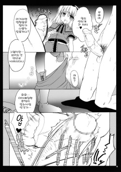 (C69) [Iiwake-Gaisya (Shigemiya Kyouhei)] Nanairo no Itazura | 일곱빛깔의장난 (Touhou Project) [Korean] [팀 면갤] page 5