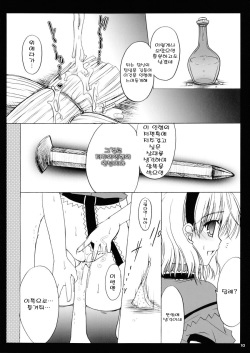 (C69) [Iiwake-Gaisya (Shigemiya Kyouhei)] Nanairo no Itazura | 일곱빛깔의장난 (Touhou Project) [Korean] [팀 면갤] page 9