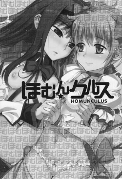 (C80) [Aneko no Techo (Koume Keito)] HOMUN★CULUS (Puella Magi Madoka☆Magica) (korean) page 3