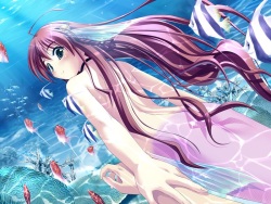 Asanagi no Aquanauts - Yoyaku Tokuten Sukumizu Disk ～ School Swimsuit Disc ～