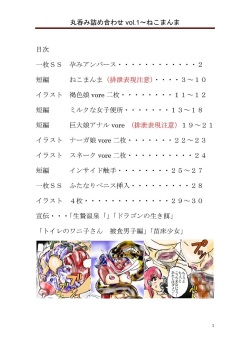 [スツーカ乗り] 丸呑み詰め合わせvol.1 page 2