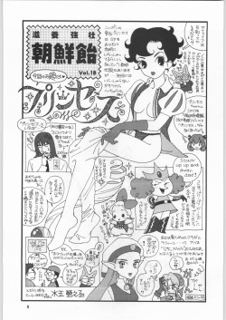 (C59) [Ganso Sonodaya (Various)] Chousen Ame Ver. 18.0 Princess (Various) page 2
