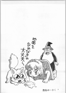 (C59) [Ganso Sonodaya (Various)] Chousen Ame Ver. 18.0 Princess (Various) page 3