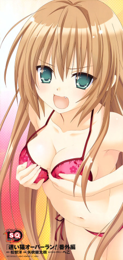 My Mayoi Neko Overrun Gallery page 1