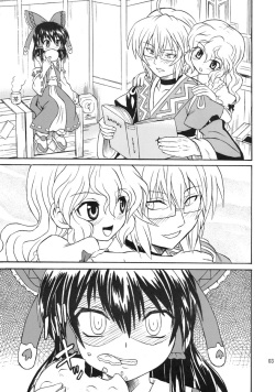 [Takakuya (Takaku Toshihiko)] Koristic Violence (Touhou Project) [English] page 3