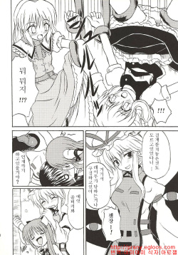(Koiiro Magic) [Takakuya (Takaku Toshihiko)] Touhou Youjo Ranbu 4 (Touhou Project) [Korean] page 9