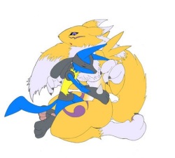 Pokémon & Digimon