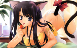 Catgirl Wallpaper 16:10 Ratio