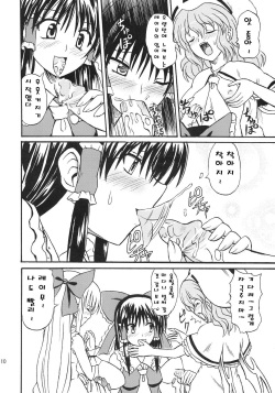 (Reitaisai 4) [Takakuya (Takaku Toshihiko)] Touhou Youjo Ranbu 8 (Touhou Project) [Korean] page 10