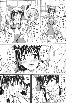 (Reitaisai 4) [Takakuya (Takaku Toshihiko)] Touhou Youjo Ranbu 8 (Touhou Project) [Korean] page 9