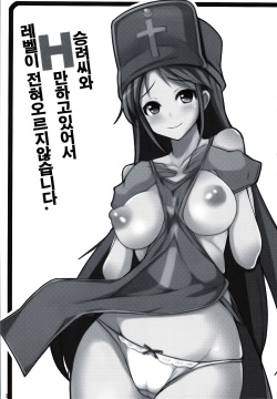 (C83) [Ippongui] Souryo-san to H Bakkari Shiteru node Level ga Zenzen Agarimasen. (Dragon Quest III) [Korean] [Team 아키바] page 2