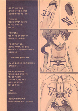 (COMIC1☆6) [Renai Mangaka (Naruse Hirofumi)] Koi no Fire Sisters (Nisemonogatari) [Korean] [Team Arcana] page 3