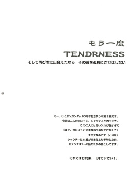 (C64) [Koutatsu Dennou Koushi (Gunblaster Itou)] Mou Ichido Tenderness (Mobile Suit Victory Gundam) page 4