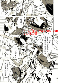 (Reitaisai 2) [Takakuya (Takaku Toshihiko)] Touhou Youjo Ranbu 2 (Touhou Project) [Korean] page 10