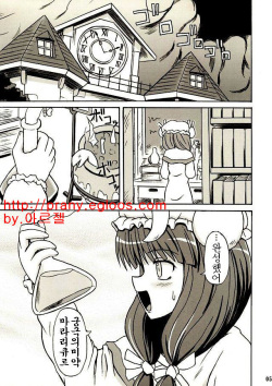 (Reitaisai 2) [Takakuya (Takaku Toshihiko)] Touhou Youjo Ranbu 2 (Touhou Project) [Korean] page 4
