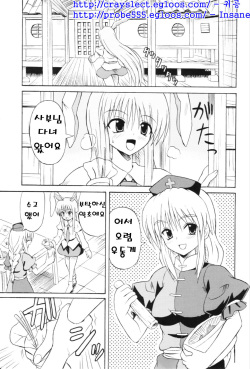 (Reitaisai 3) [Takakuya (Takaku Toshihiko)] Touhou Youjo Ranbu 6 (Touhou Project) [Korean] page 4