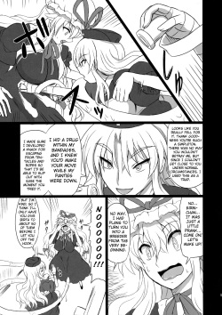 (C80) [Takakuya (Takaku Toshihiko)] Extend Party 3 (Touhou Project) [English] [A-Trans] page 5