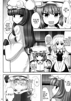 (C79) [Fukutsuu Okosu (Kaiou)] Koukoumu (Touhou Project) (Korean) page 4