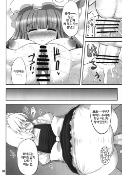 (C79) [Fukutsuu Okosu (Kaiou)] Koukoumu (Touhou Project) (Korean) page 8