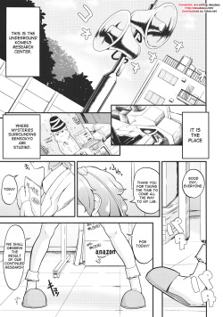 (C82) [Low-Tension (Tsutsumi)] Orinrin to Ochinchin no Kagaku Hannou (Touhou Project) [English] [desudesu] page 2