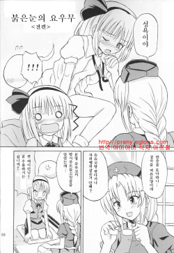 (Reitaisai 2) [Takakuya (Takaku Toshihiko)] Touhou Youjo Ranbu 3 (Touhou Project) [Korean] page 5