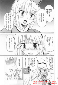 (Reitaisai 2) [Takakuya (Takaku Toshihiko)] Touhou Youjo Ranbu 3 (Touhou Project) [Korean] page 6