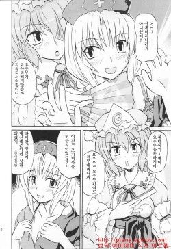 (Reitaisai 2) [Takakuya (Takaku Toshihiko)] Touhou Youjo Ranbu 3 (Touhou Project) [Korean] page 9