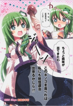 (C83) [Little Hamlet (Ra Kii)] KICHIKU MIKO SANAE ToHo Seirensen Kouryakuhon (Touhou Project) page 3